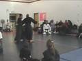Ninjitsu evasion and counter strikes