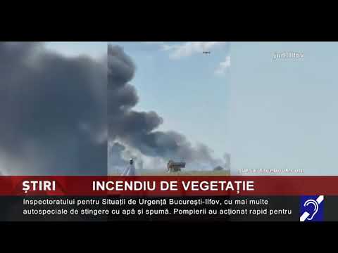 Incendiu de vegetație, în Bragadiru
