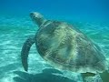 Snorkeling St John & St Thomas, USVI
