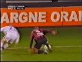 Everson, le taureau !