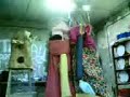 Que caxondos los gegants Que caxondos los gegants