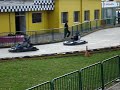 Gane en los karts !!! Pelaos vacano el salitre Gane en los karts !!! Pelaos vacano el salitre