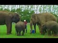 Hannah Spearritt - Primeval (S1E6) - Wild One Hannah Spearritt - Primeval (S1E6) - Wild One