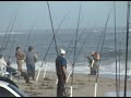 Striped Bass Fishing