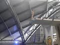 Thomas Daley Diving- The dives I have scored a 10 on in 2007