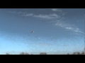 Maiden Flight - 3D Hobby Shop 72 Extra 330SC - February 19, 2011