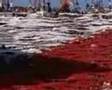wydad vs raja (l'ambiance de derby 103 )