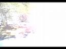 Shadowknights Fortress of Solitude Pt.1 Shadowknights Fortress of Solitude Pt.1