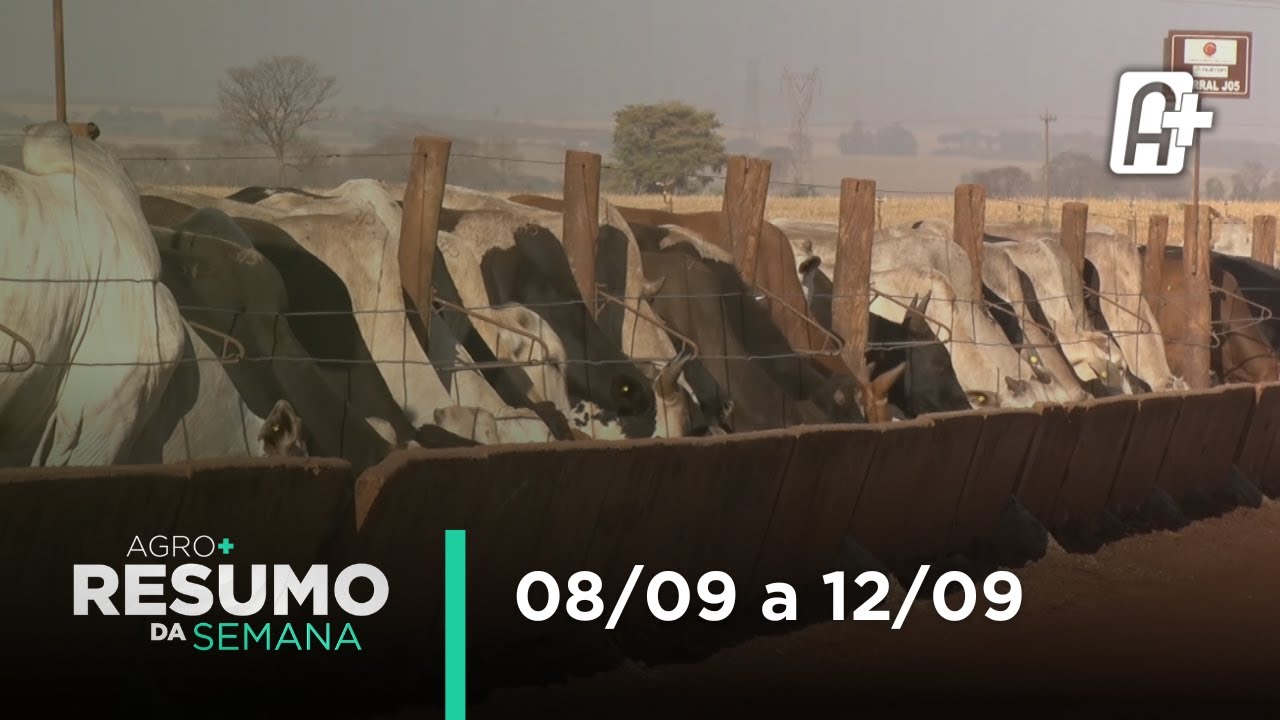 Agro+ Resumo da Semana: 08/09 a 12/09