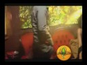 Tu Te La Traes (Remix) (Www.LoMasReal.Com)