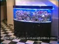 Reef Aquarium Advice (Beauty Of a Reef Aquarium)