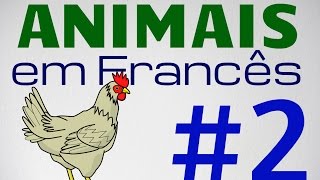 Vocabulário: Animais em francês - parte 2