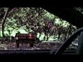Maui Full Trip I