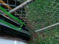 videos de Katelyn's a Turtle!