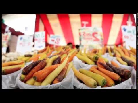 Ellenor in Montreal. Небольшое приключение в Монреале. Видео 0 Ellenor in Montreal. Небольшое приключение в Монреале. Видео