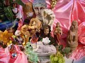 the paradise of mr sandman