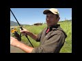 	      Strong Carp by cucko 15,97 lb 
