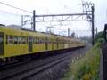 西武新宿線-新101系+301系(快速急行本川越行)