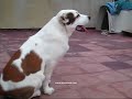 Biting Games