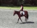 Beau's Training Level Test 1 8/9/08