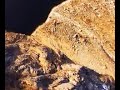 b.a.s.e. jumping