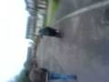 videos de MOV00069.3gp