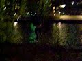 Sacha saute dans la Seine