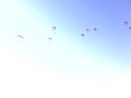 parachutage transal militaire parachutage transal militaire