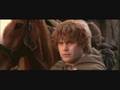 Samwise Gamgee Tribute