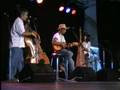 Paraguayan song By Cachicamo Latin Harp