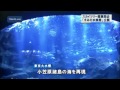 すみだ水族館