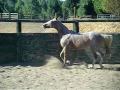 Sugar, you sound like a dinosoar...