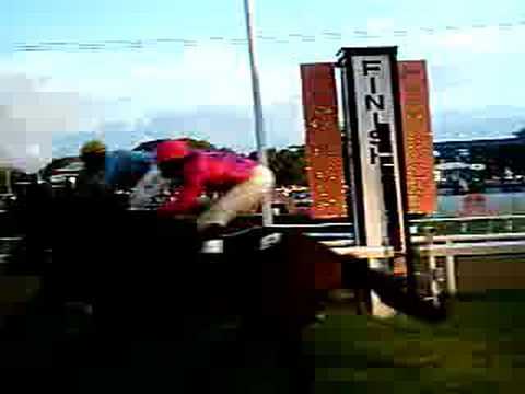 Click to play video.