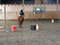 videos de tony et nemo