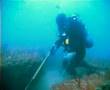 Underwater Ledge Off Myrtle Beach Coast