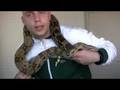 Handling a Boa Constrictor