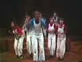 The Piggy Wiggy Boogie