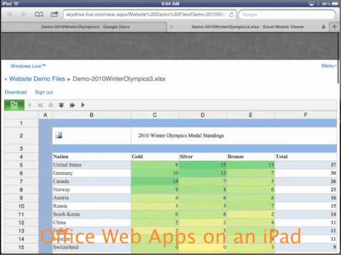 Microsoft Office Web Apps on an iPad