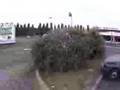 Buissonland-10