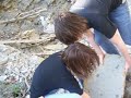 Creek Creek