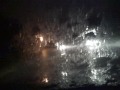 02122009011[1].mp4