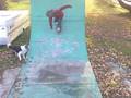 videos de Zac Vickers Attempt at Kickflip to Fakie