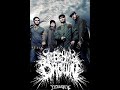 Top 10 Deathcore Bands