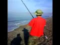 pescando la dorada