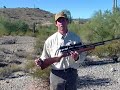 Sonoran Pronghorn