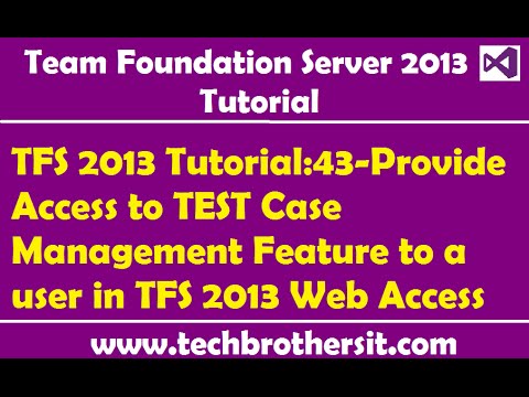 how to provide tfs access
