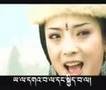 Cultural Genocide in Tibet?