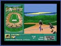 summer challenge accolade 1993