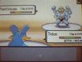 Pokemon Diamond WiFi Battle vs. Xonmëan [Round 2]