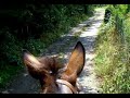 riding my mule, Nerone